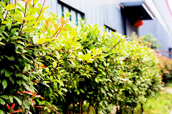 天然居硅藻泥第22期營(yíng)銷培訓(xùn)圓滿結(jié)業(yè)